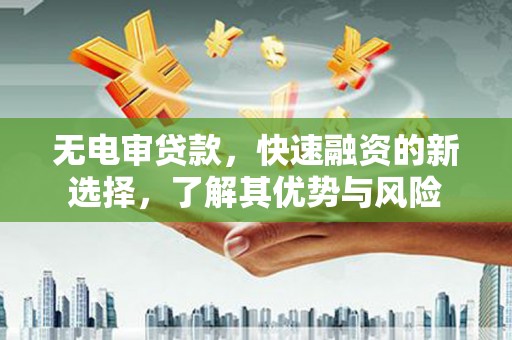 凤城无电审贷款，快速融资的新选择，了解其优势与风险