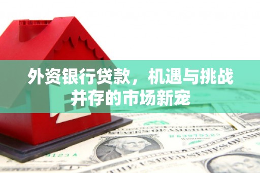 凤城外资银行贷款，机遇与挑战并存的市场新宠