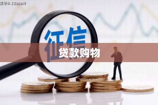 凤城贷款购物