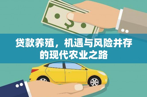 凤城贷款养殖，机遇与风险并存的现代农业之路