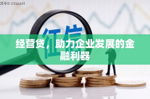 凤城经营贷，助力企业发展的金融利器