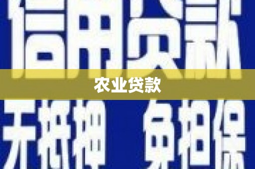 凤城农业贷款