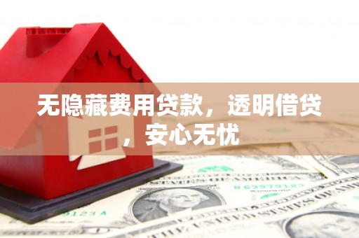 凤城无隐藏费用贷款，透明借贷，安心无忧