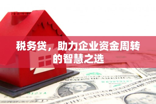 凤城税务贷，助力企业资金周转的智慧之选