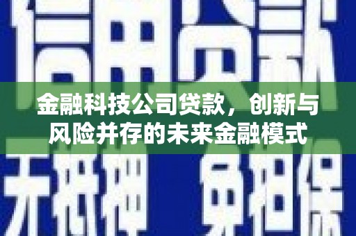 凤城金融科技公司贷款，创新与风险并存的未来金融模式