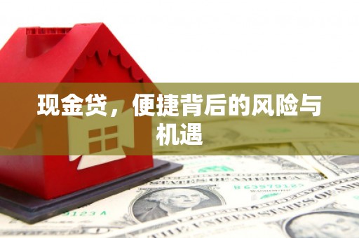 凤城现金贷，便捷背后的风险与机遇
