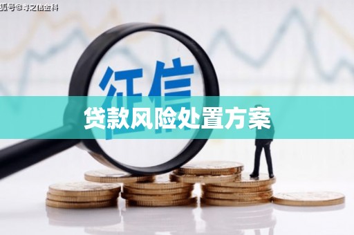 凤城贷款风险处置方案