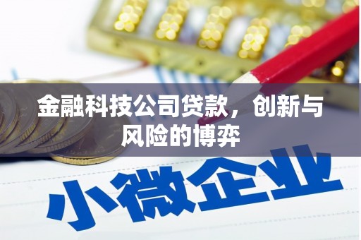 凤城金融科技公司贷款，创新与风险的博弈