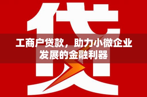 凤城工商户贷款，助力小微企业发展的金融利器