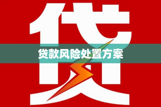 凤城贷款风险处置方案