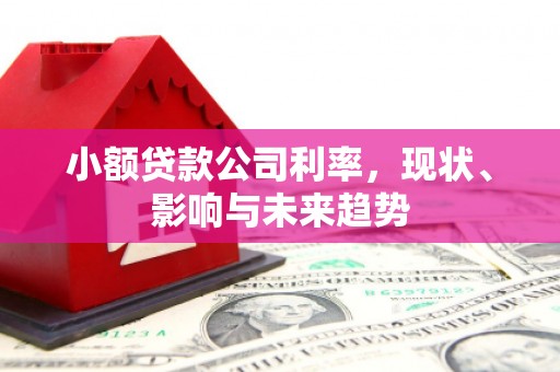 凤城小额贷款公司利率，现状、影响与未来趋势