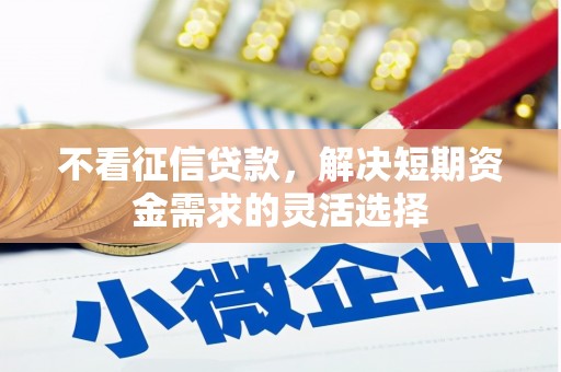 凤城不看征信贷款，解决短期资金需求的灵活选择