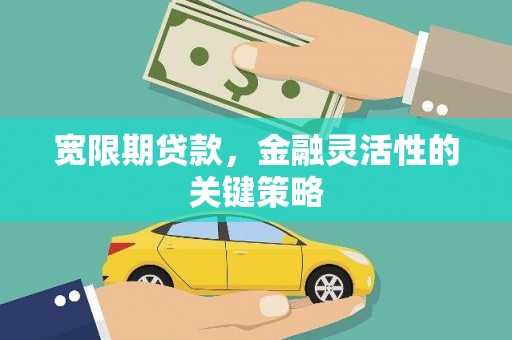 凤城宽限期贷款，金融灵活性的关键策略