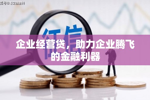 凤城企业经营贷，助力企业腾飞的金融利器