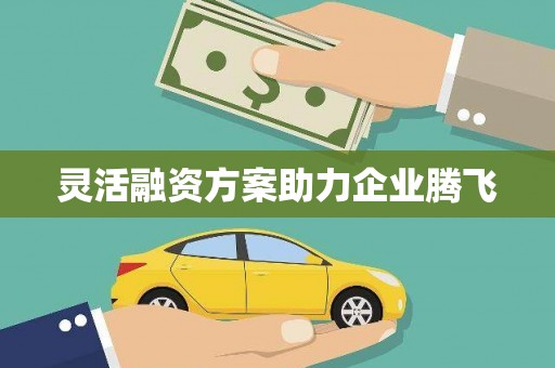 凤城灵活融资方案助力企业腾飞