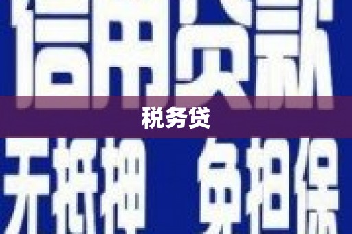 凤城税务贷