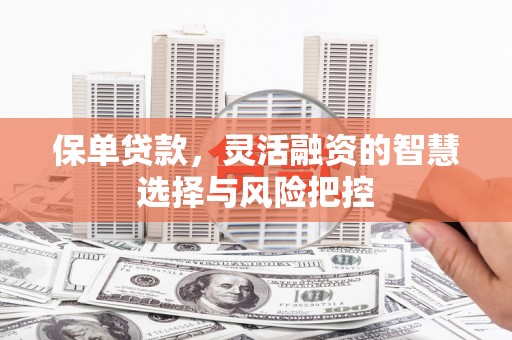 凤城保单贷款，灵活融资的智慧选择与风险把控