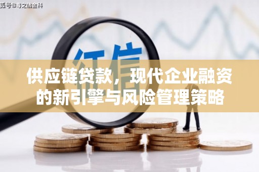 凤城供应链贷款，现代企业融资的新引擎与风险管理策略