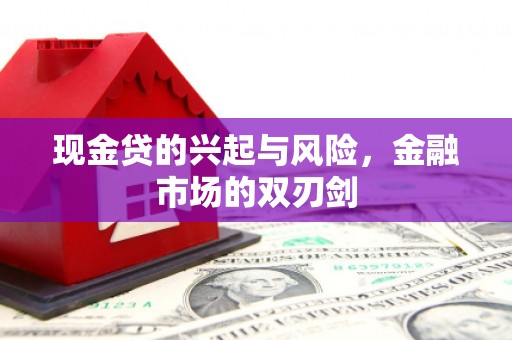 凤城现金贷的兴起与风险，金融市场的双刃剑
