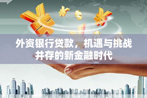 凤城外资银行贷款，机遇与挑战并存的新金融时代