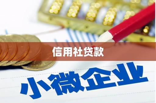 凤城信用社贷款