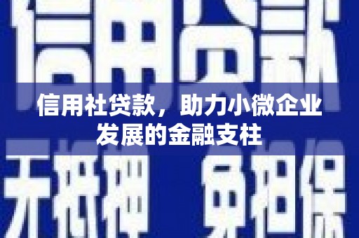 凤城信用社贷款，助力小微企业发展的金融支柱