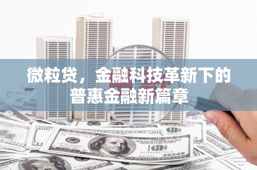 凤城微粒贷，金融科技革新下的普惠金融新篇章