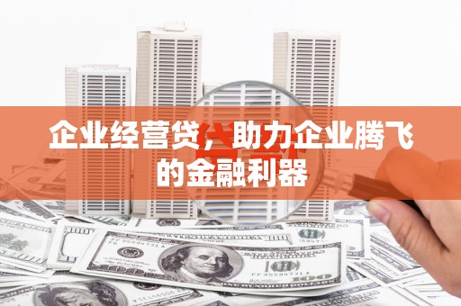 凤城企业经营贷，助力企业腾飞的金融利器