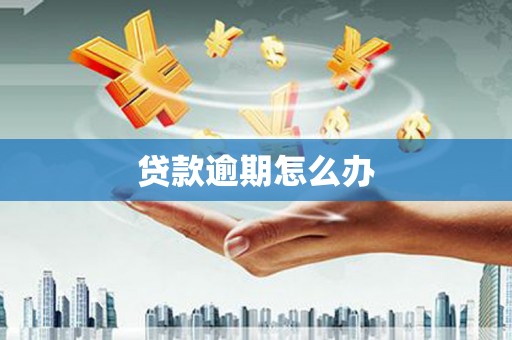 凤城贷款逾期怎么办