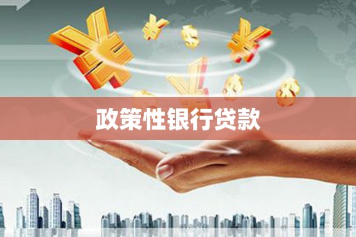 凤城政策性银行贷款