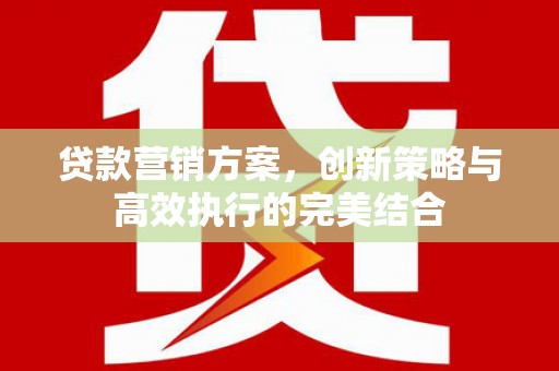 凤城贷款营销方案，创新策略与高效执行的完美结合