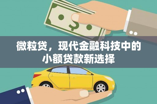 凤城微粒贷，现代金融科技中的小额贷款新选择