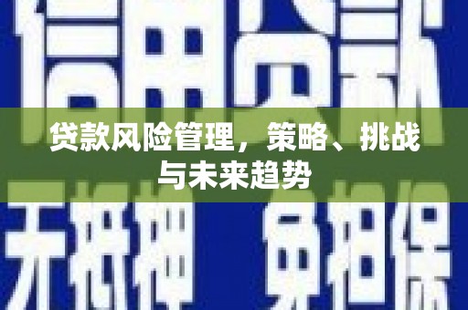 凤城贷款风险管理，策略、挑战与未来趋势
