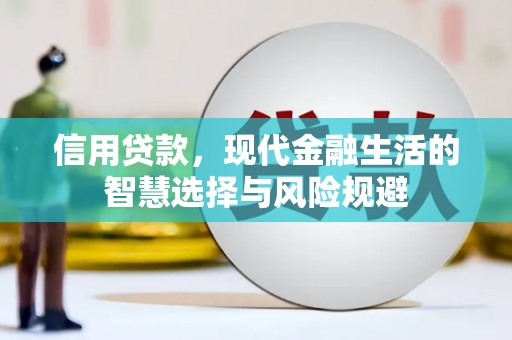 凤城信用贷款，现代金融生活的智慧选择与风险规避