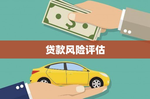 凤城贷款风险评估