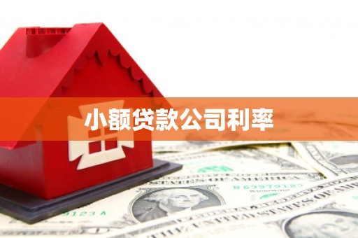 凤城小额贷款公司利率