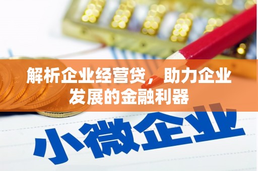 凤城解析企业经营贷，助力企业发展的金融利器