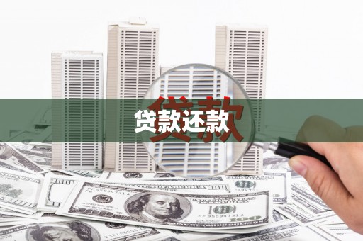 凤城贷款还款