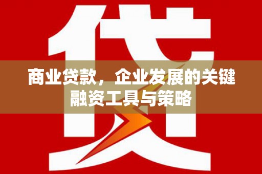 凤城商业贷款，企业发展的关键融资工具与策略