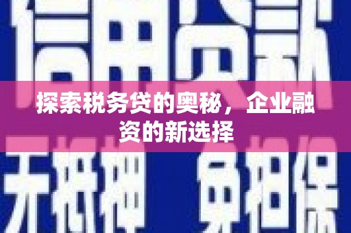 凤城探索税务贷的奥秘，企业融资的新选择