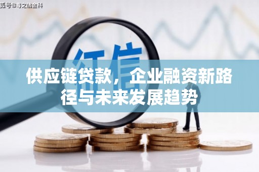凤城供应链贷款，企业融资新路径与未来发展趋势