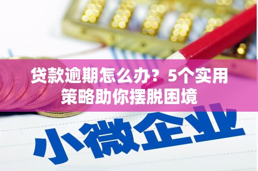 凤城贷款逾期怎么办？5个实用策略助你摆脱困境