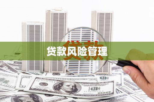 凤城贷款风险管理