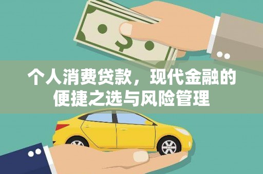 凤城个人消费贷款，现代金融的便捷之选与风险管理