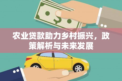 凤城农业贷款助力乡村振兴，政策解析与未来发展