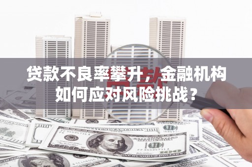 凤城贷款不良率攀升，金融机构如何应对风险挑战？