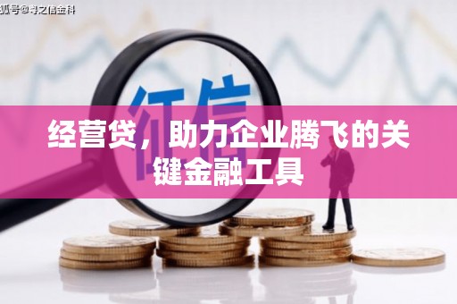 凤城经营贷，助力企业腾飞的关键金融工具