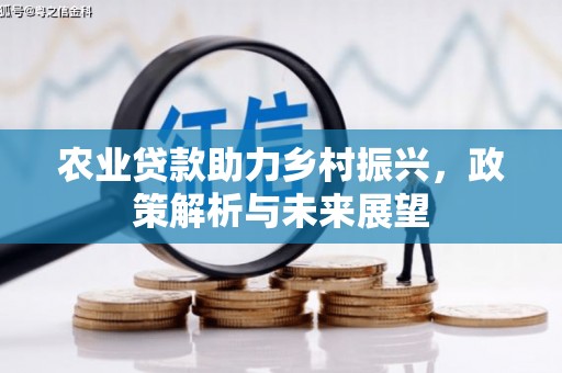 凤城农业贷款助力乡村振兴，政策解析与未来展望