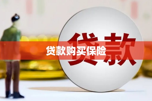 凤城贷款购买保险