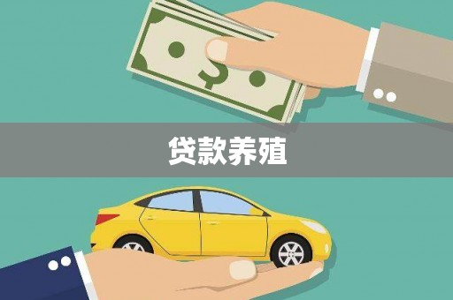 凤城贷款养殖